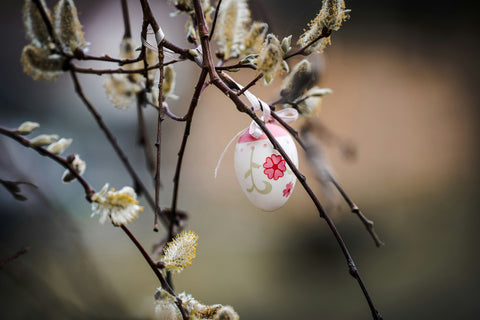 Welche Weine passen zu Ostern? Genussvolle Kombinationen