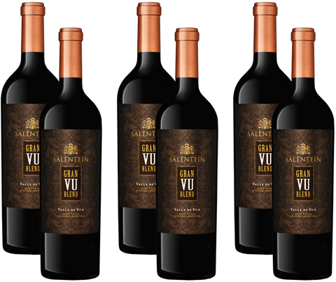 Bodegas Salentein Gran Vu Blend 2017 6er Set