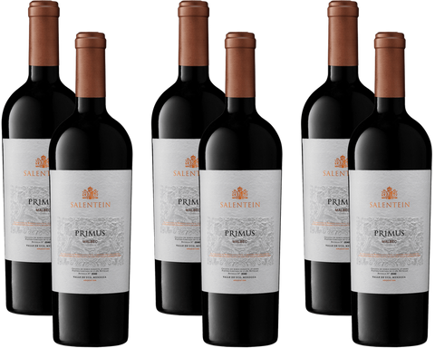 Bodegas Salentein Primus Malbec 6er Set