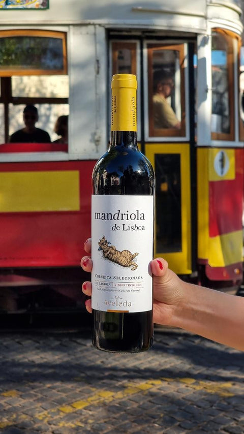 Mandriola de Lisboa Tinto 6er Set