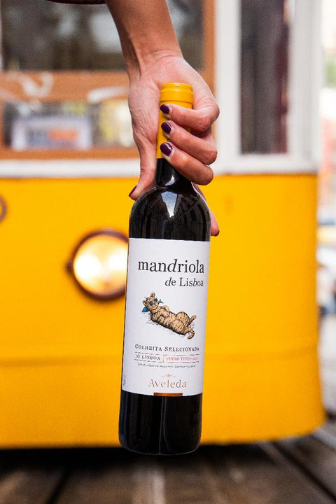 Mandriola de Lisboa Tinto 6er Set
