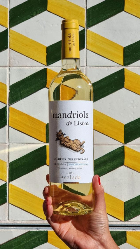 Mandriola de Lisboa Branco 6er Set