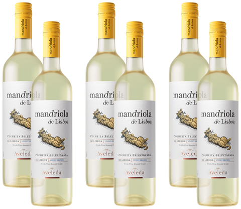 Mandriola de Lisboa Branco 6er Set