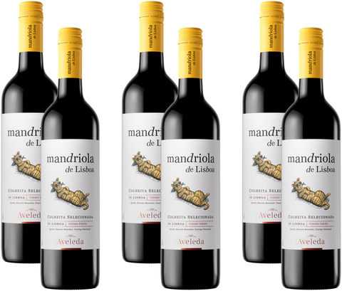 Mandriola de Lisboa Tinto 6er Set