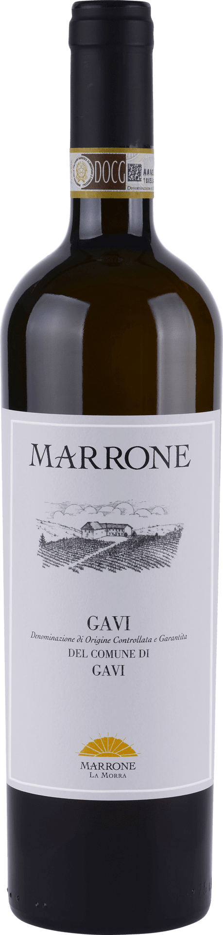 Marrone Gavi di Gavi DOCG
