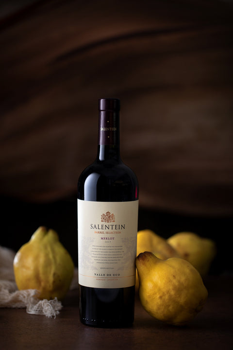 Bodegas Salentein Barrel Selection Merlot