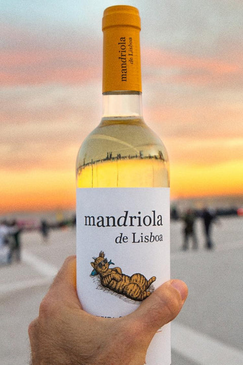 Mandriola de Lisboa Branco 6er Set